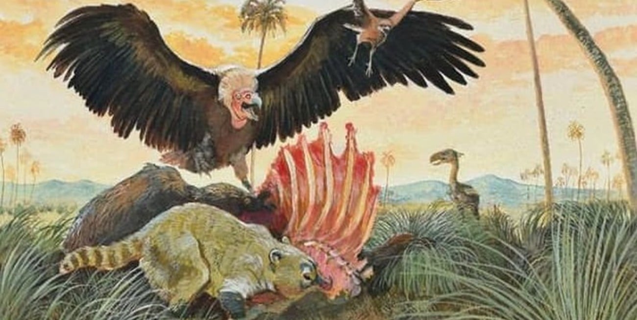 Un hallazgo paleontológico que estremeció los cielos de la región pampeana hace 3 millones de años