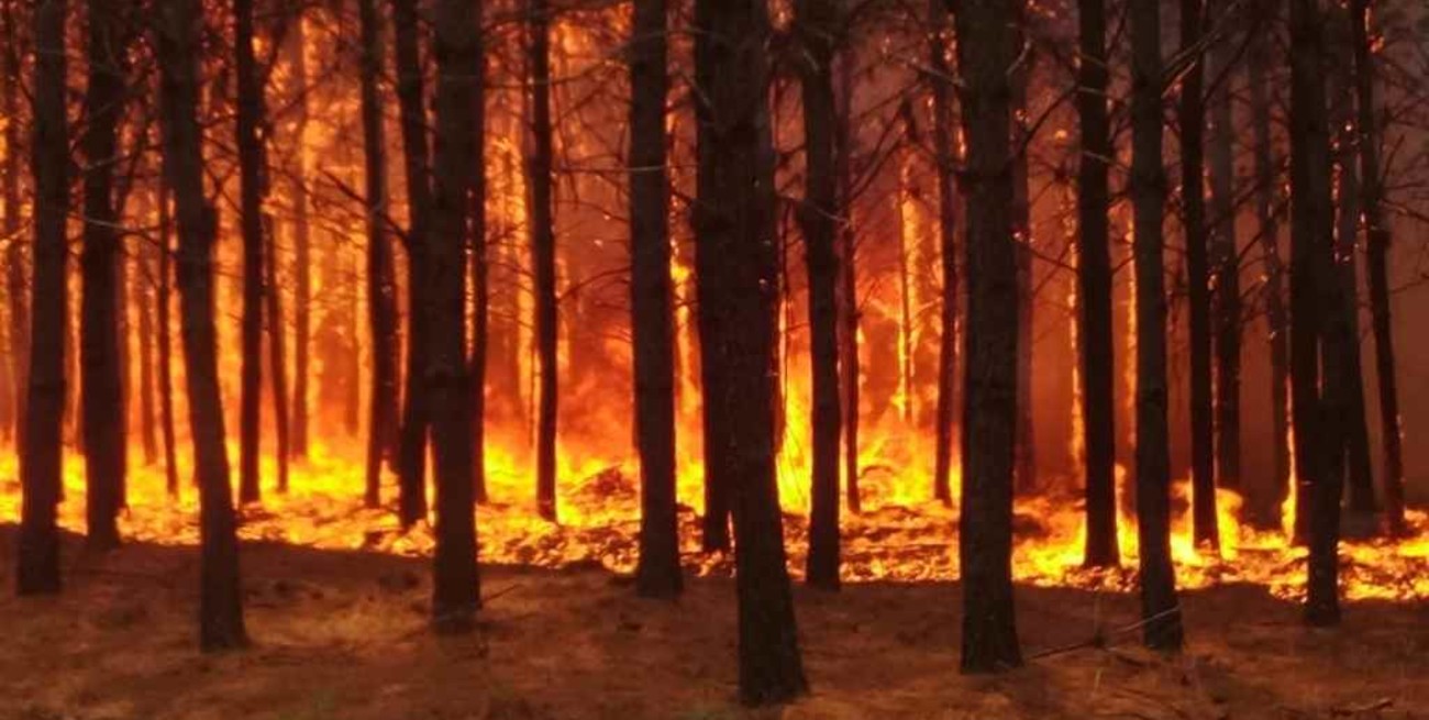 Disminuyen los focos de incendios en Corrientes, mientras esperan más lluvias para esta semana 