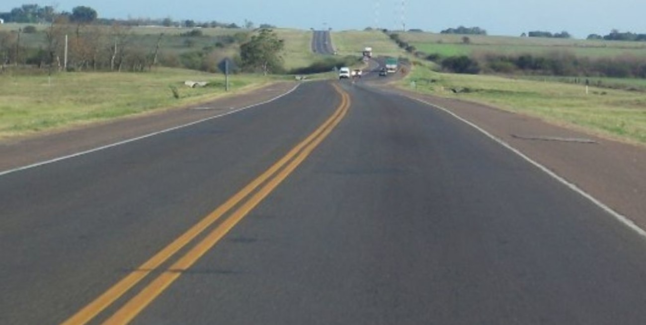Un camión chocó y mató a un caballo sobre la Ruta 14 en Entre Ríos