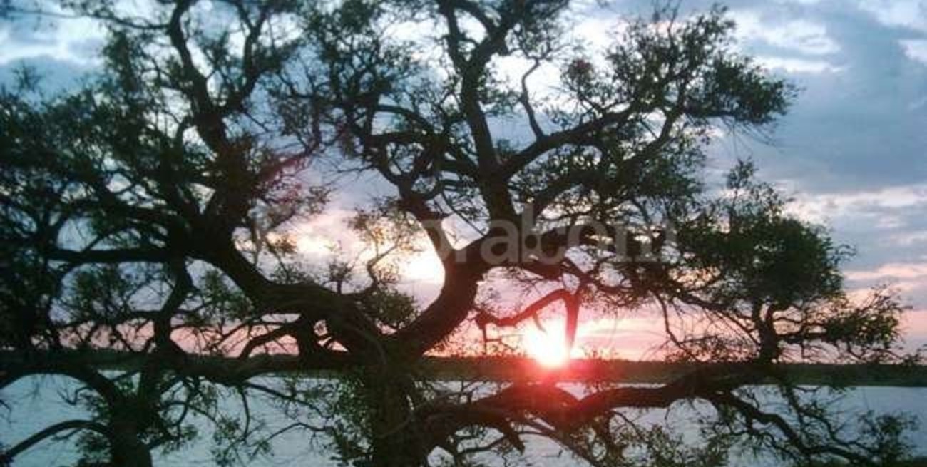 Buscan preservar la laguna Bedetti