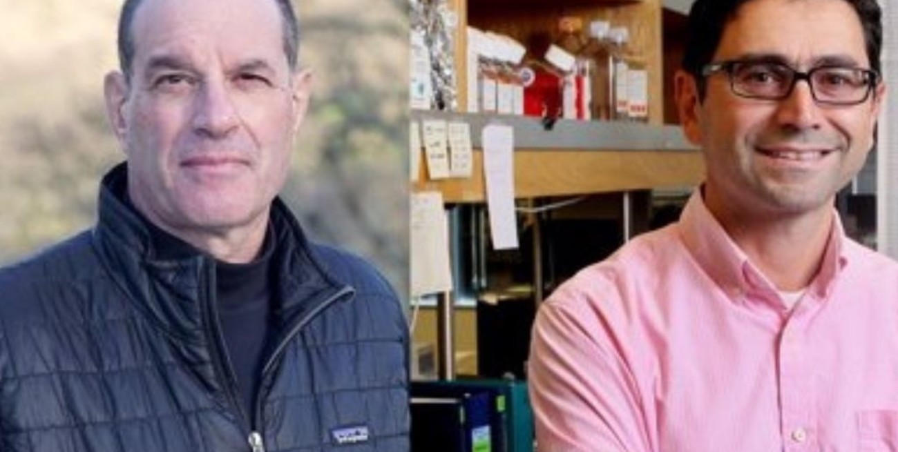 Nobel de Medicina para dos científicos por el descubrimiento de receptores para temperatura y tacto