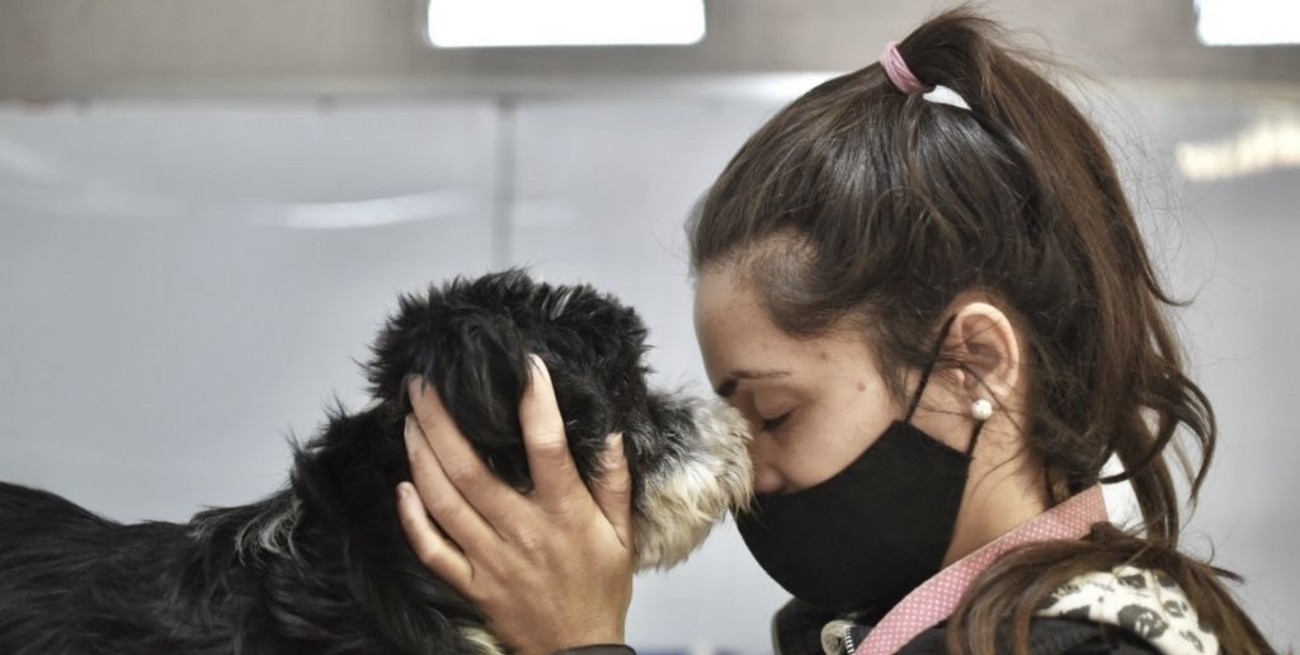 Continúa la campaña municipal de castraciones en Santa Fe 