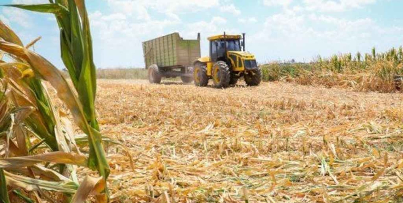 Asociaciones Rurales de Entre Ríos piden una nueva ley de "emergencia y desastre agropecuario"
