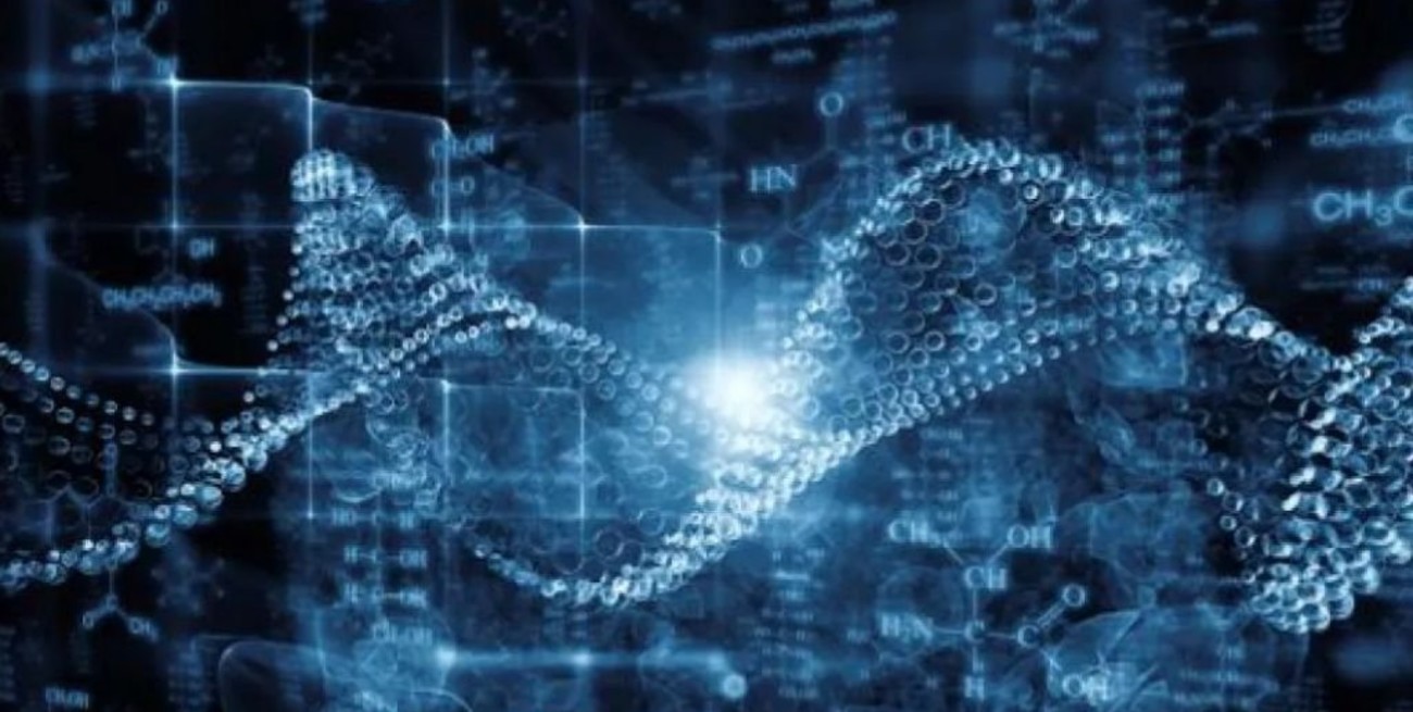 Descubren cómo almacenar archivos digitales en moléculas de ADN