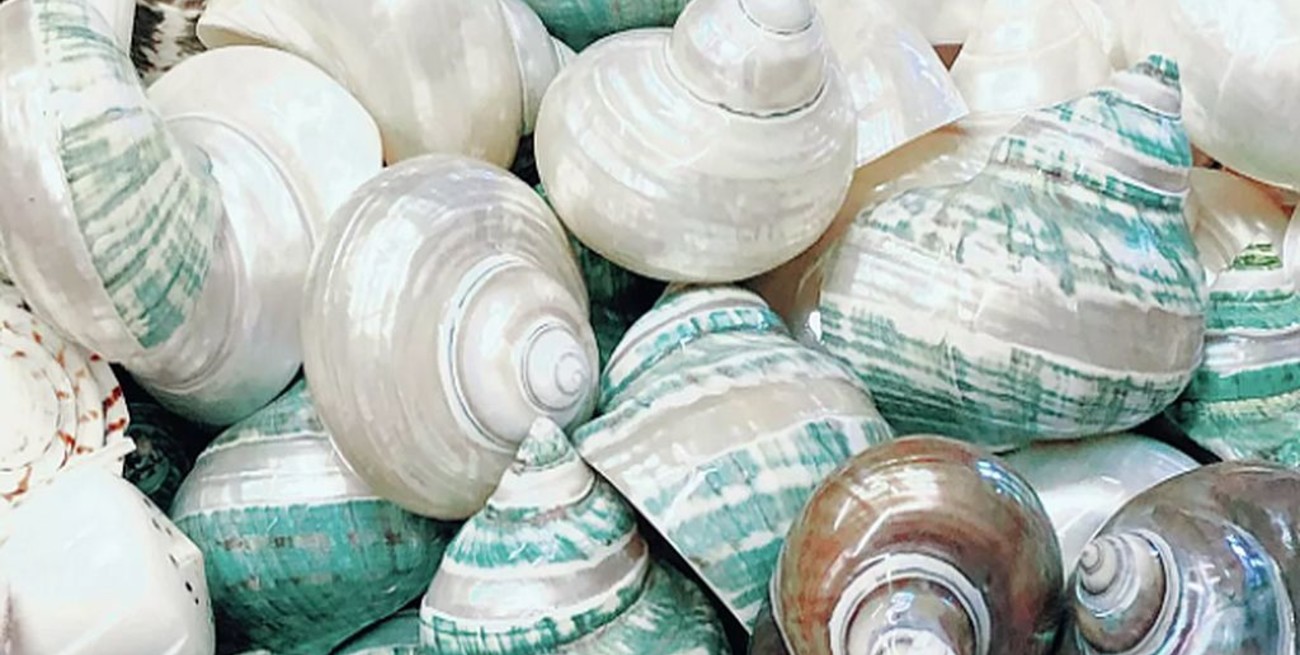 Científicos crean un "supervidrio" irrompible para smartphones