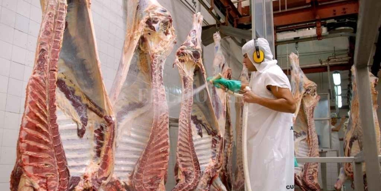 Desde el campo reclaman por "exportaciones libres"