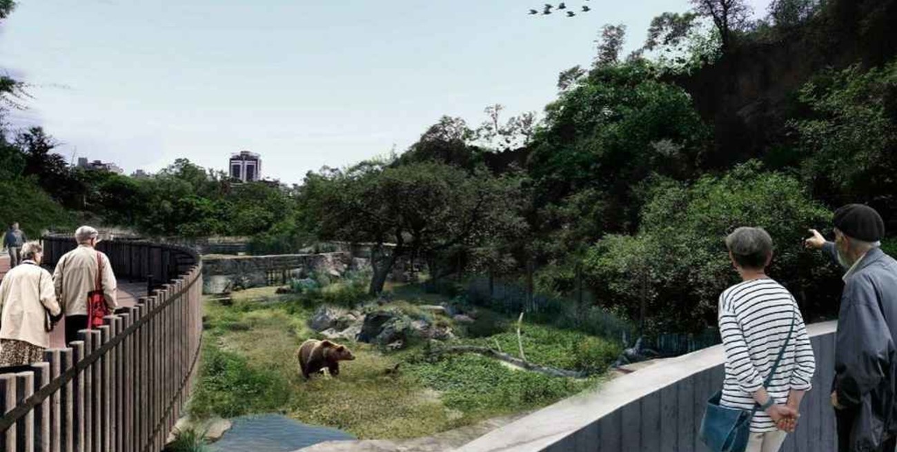 En el ex Zoológico de Córdoba crearán un santuario para osos pardos