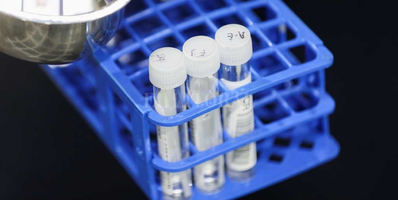 Claves para entender por qué Ómicron es una variante "preocupación"