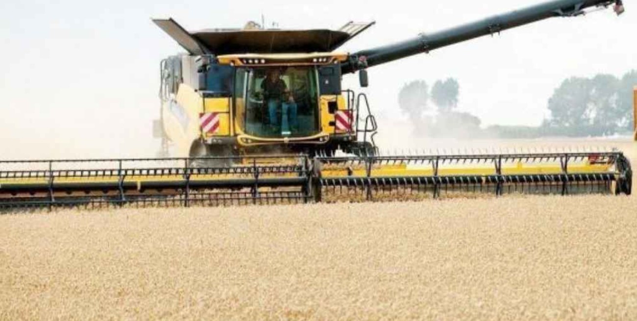 El 72% de las exportaciones provienen del campo