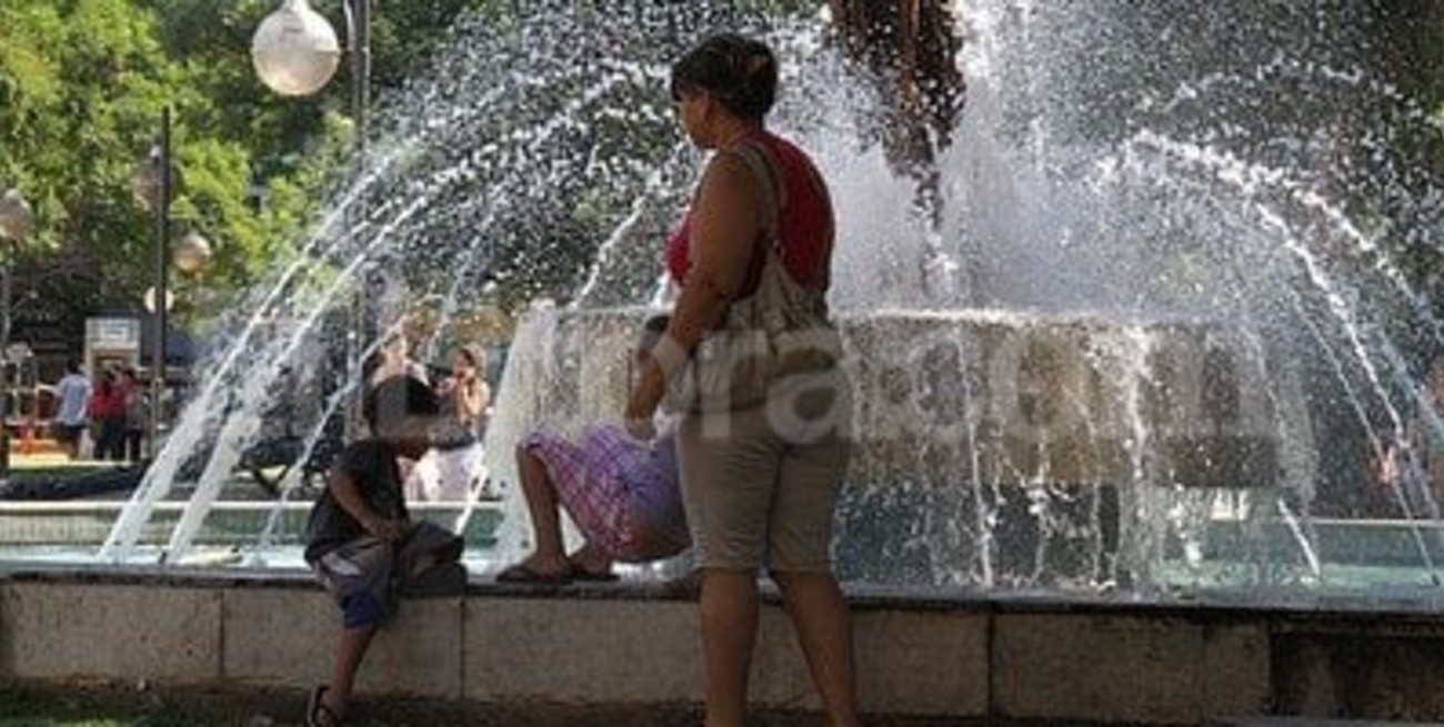 Recomendaciones ante la ola de calor