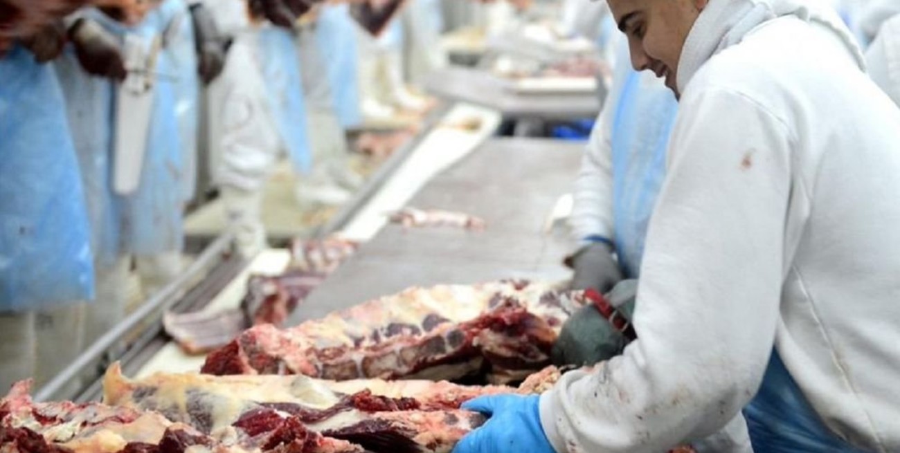 La Mesa de Enlace considera un "paso adelante" la ampliación de envíos de vaca conserva a China