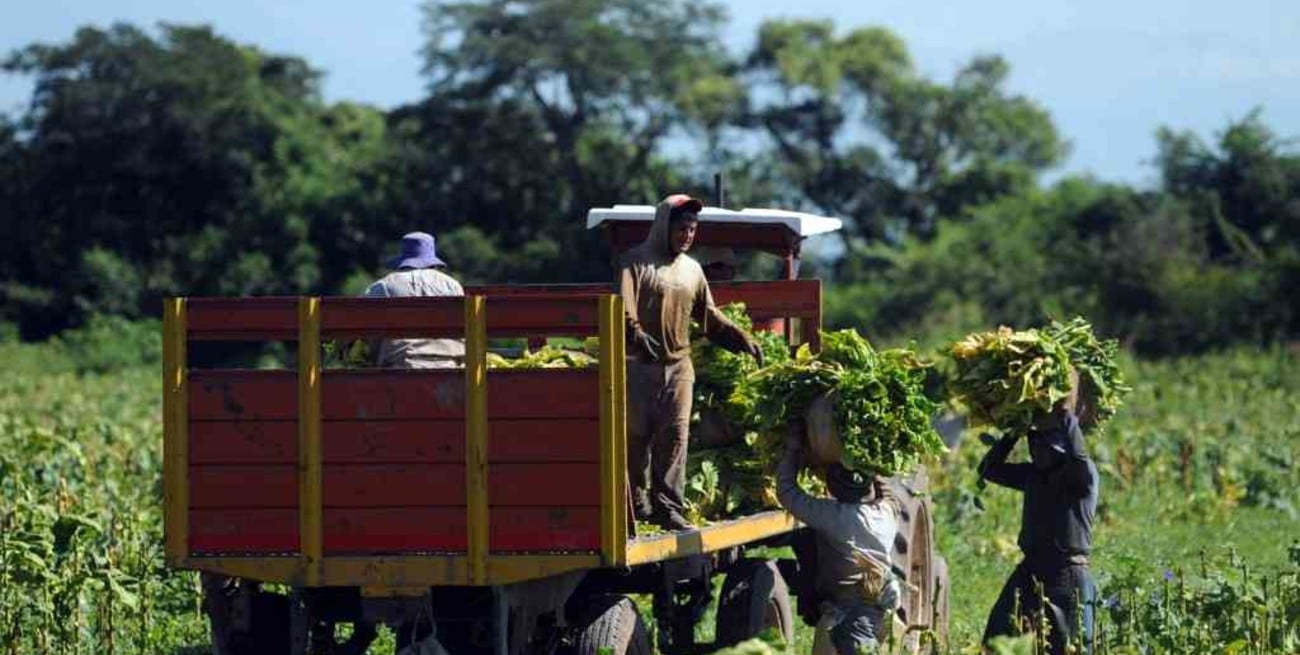 La Rioja: rescatan a 40 trabajadores golondrinas víctimas de trata
