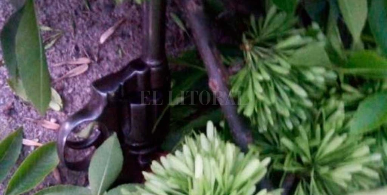 Trataron de "descartar" el revólver, pero...