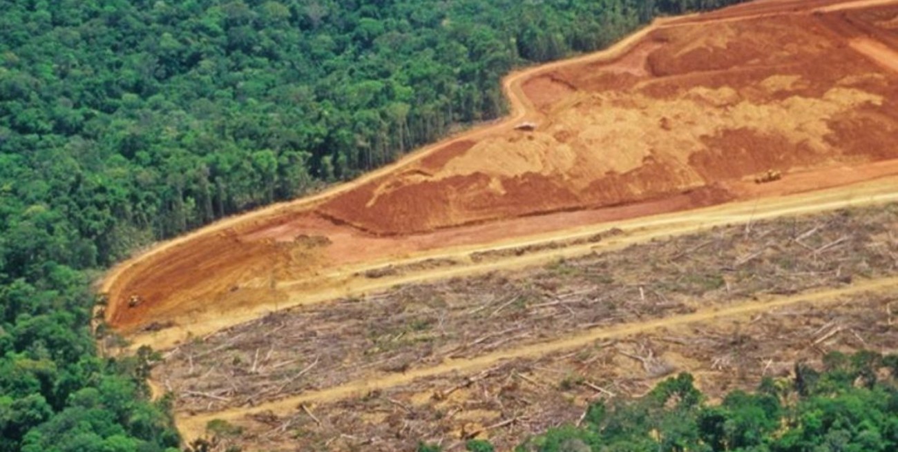 Récord de deforestación en la selva amazónica