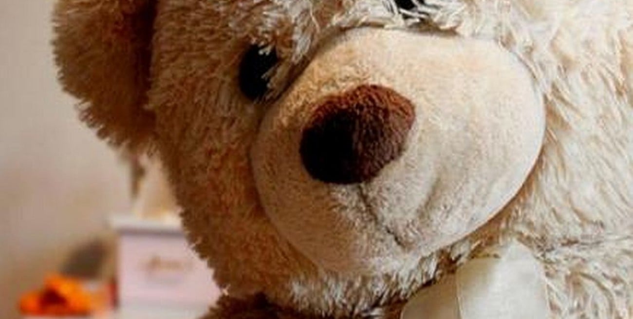 Final feliz: apareció el oso de peluche buscado por la nena santafesina
