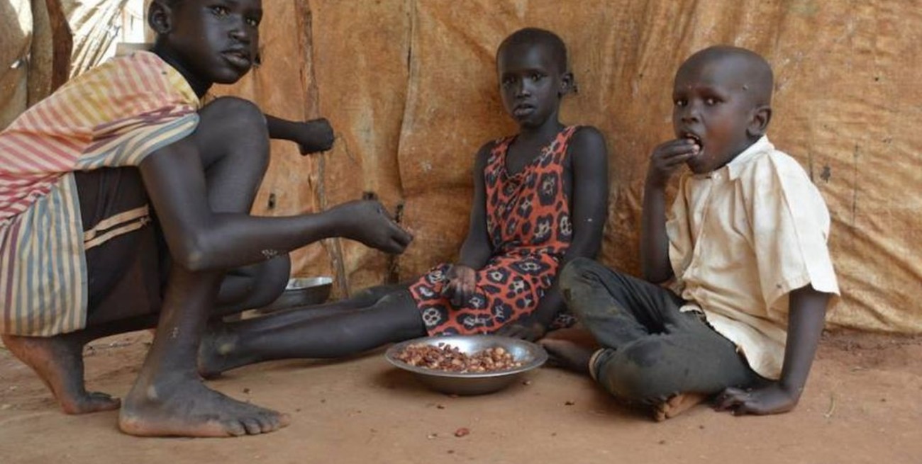 Unos 13 millones de africanos están en riesgo de padecer hambre extrema