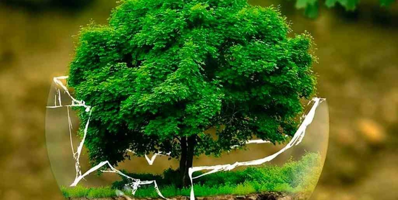 Día de la Educación Ambiental: la importancia de la conservación y protección de nuestro planeta