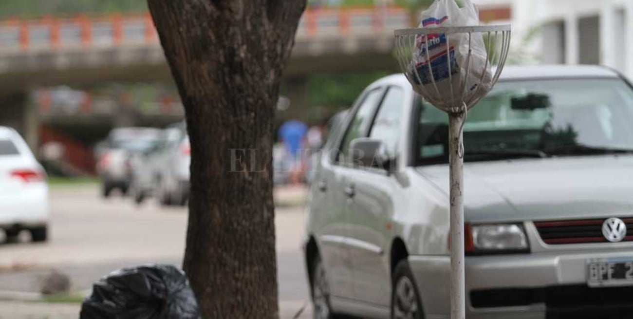 Cestos en altura: de los conflictos entre vecinos al desconocimiento