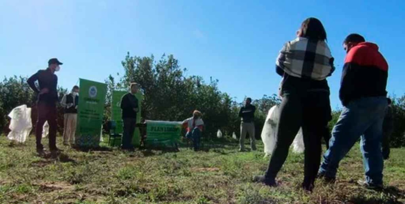 Mataron de un balazo a un hombre que se resistió a un robo en Corrientes