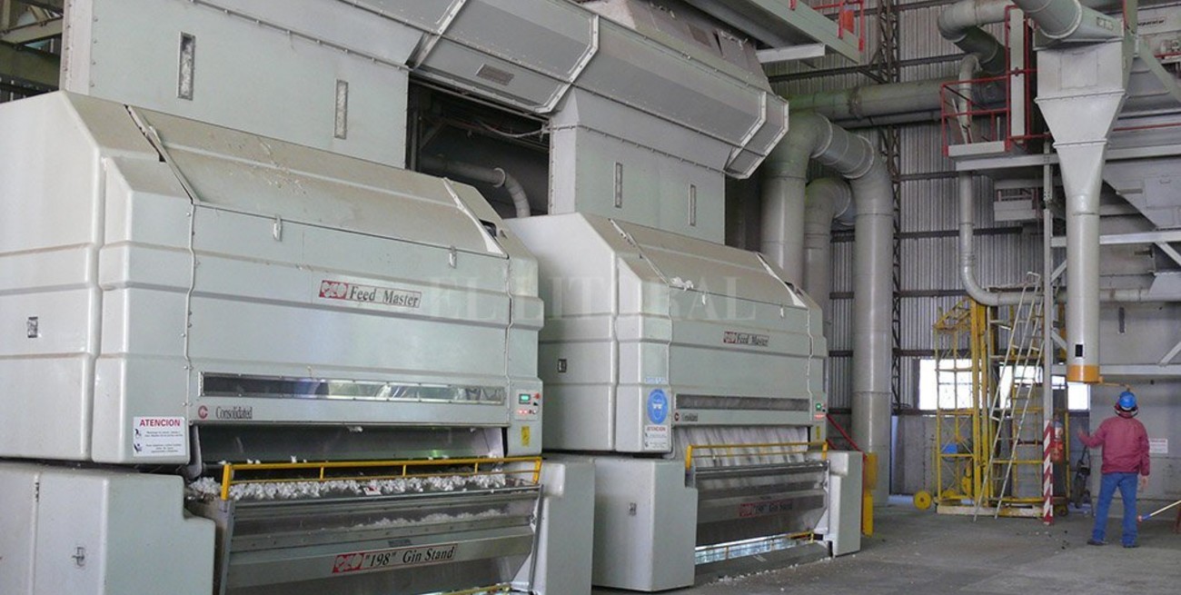 Confirman la construcción de la desmotadora en El Nochero