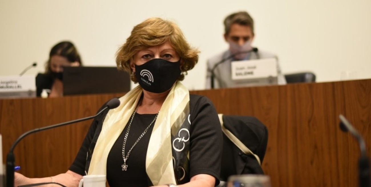 Concejo: aprueban proyecto para combatir el circuito ilegal de armas 