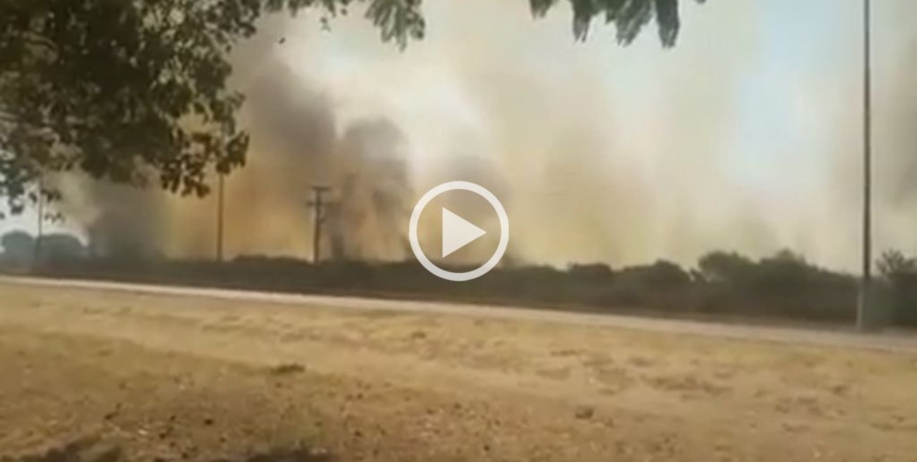 Video: dos nuevos incendios afectaron a Cayastá