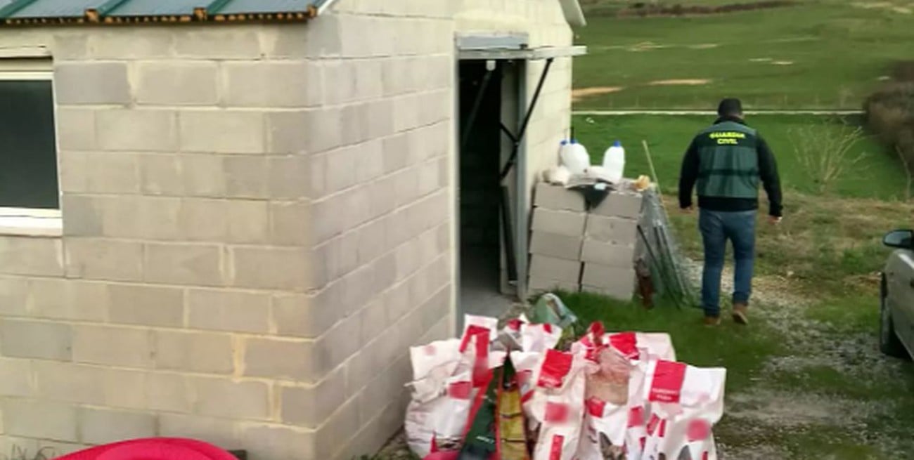 Dos detenidos en Cantabria por dejar morir abandonados a 18 perros setter  