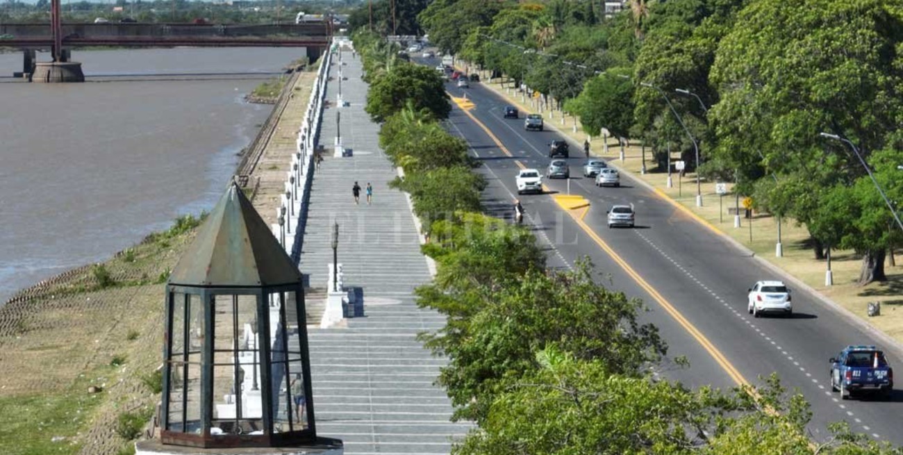 Lanzaron una campaña para plantar más   de 100 árboles en la ciudad de Santa Fe