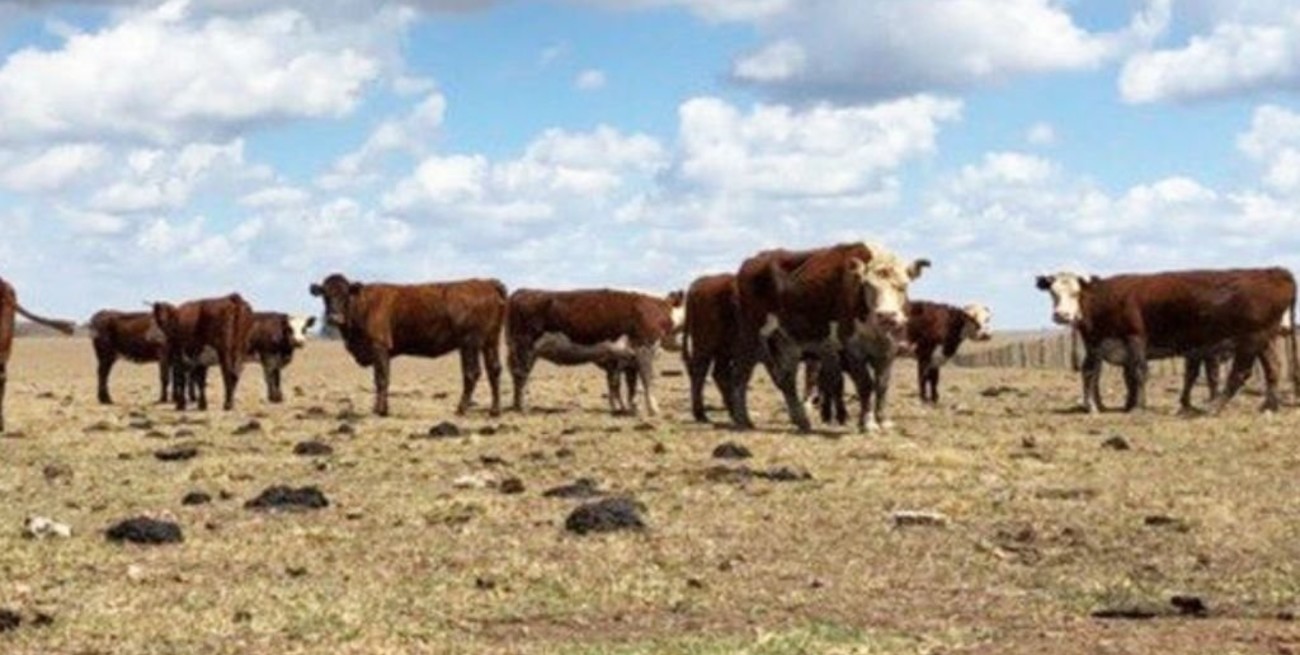 Es oficial: la provincia de Santa Fe ya está en emergencia agropecuaria