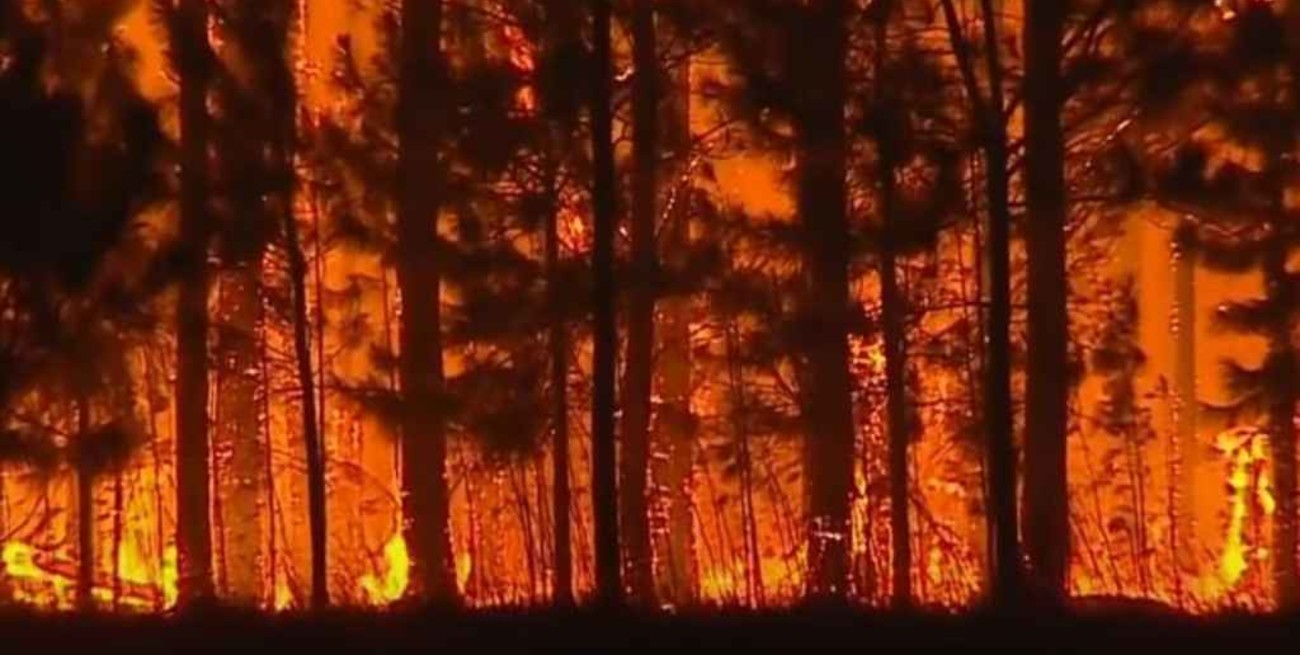 Continúan activos ocho focos de incendios en Corrientes y seis en Misiones