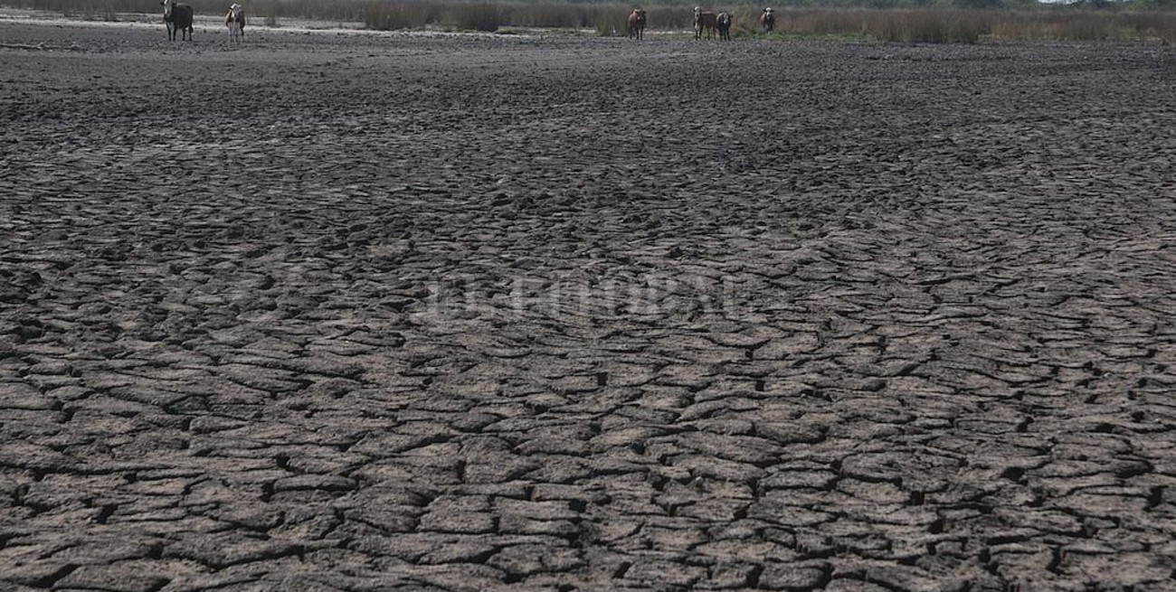 El gobierno argentino recomendó homologar la emergencia agropecuaria para Santa Fe