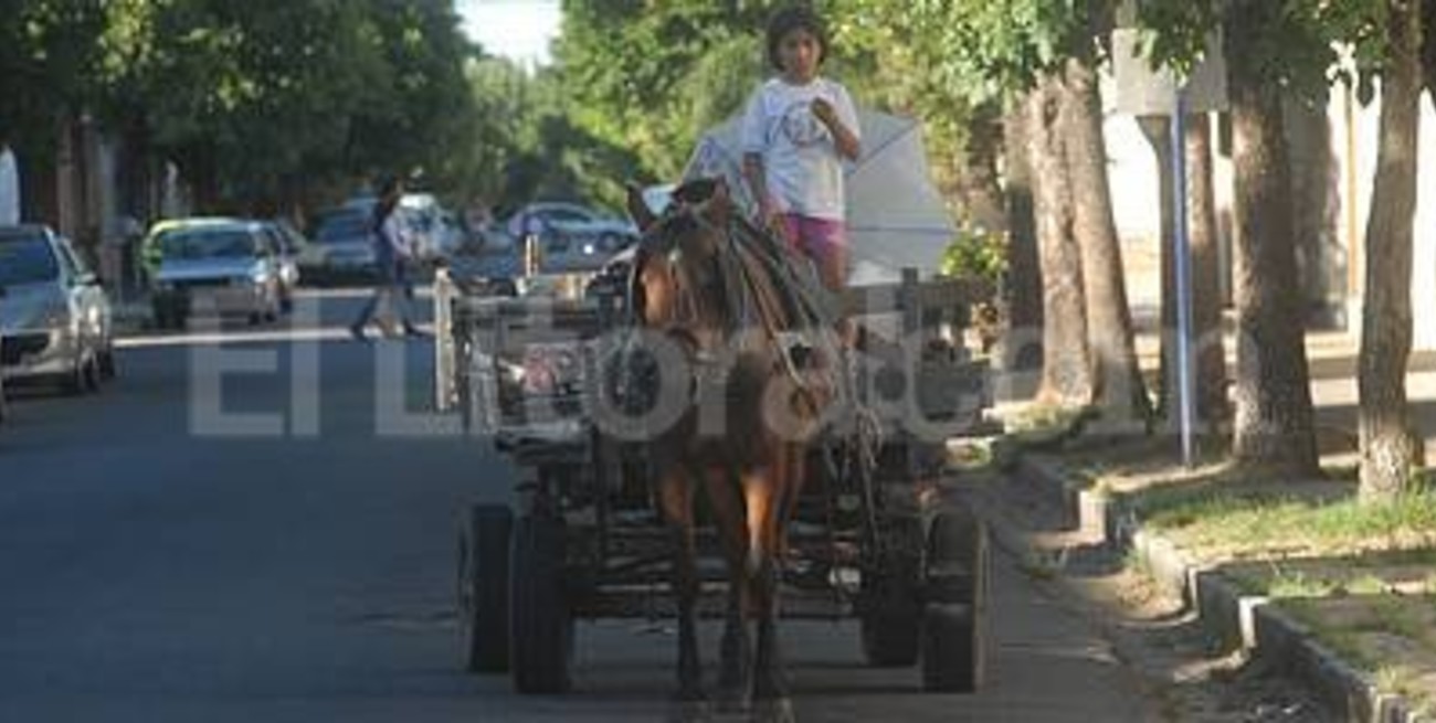 Río Cuarto, pionera en mejorar la actividad de cirujas y carreros