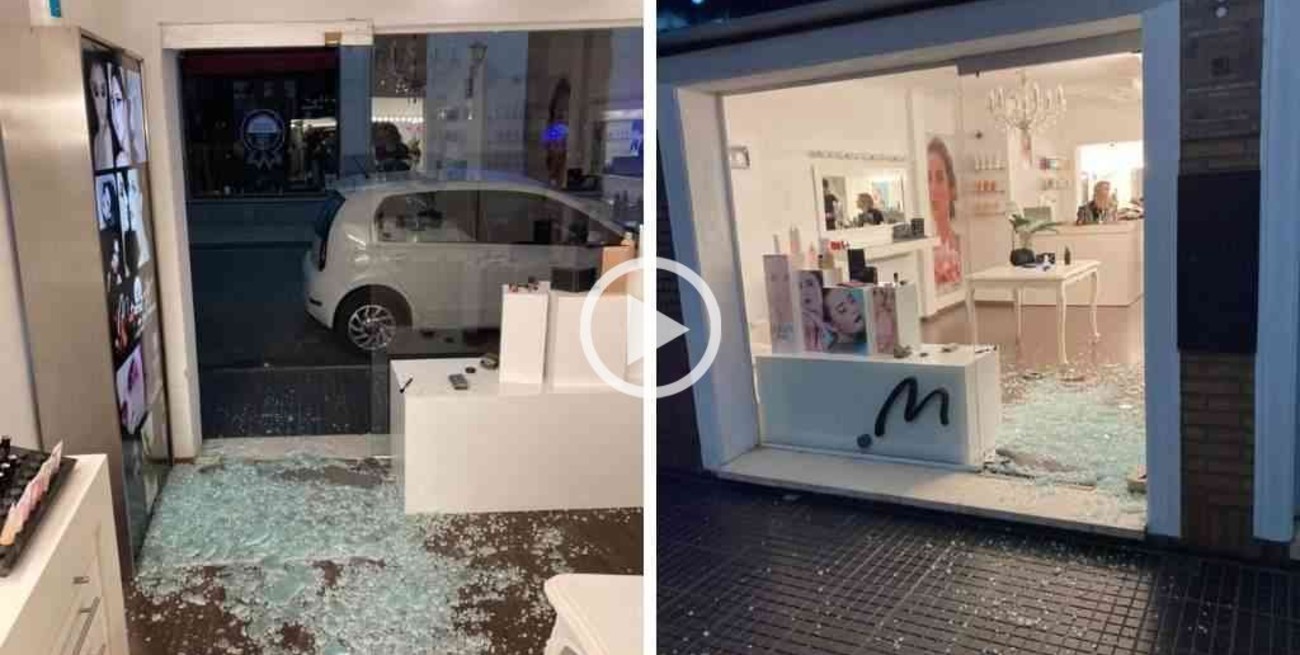 Robo y destrozos en un comercio céntrico