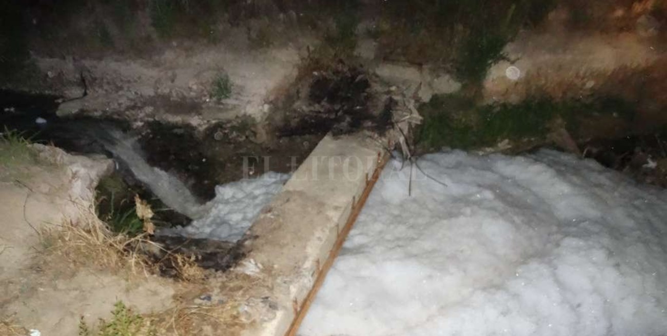 Un guardafauna denuncia presunta contaminación del río Salado