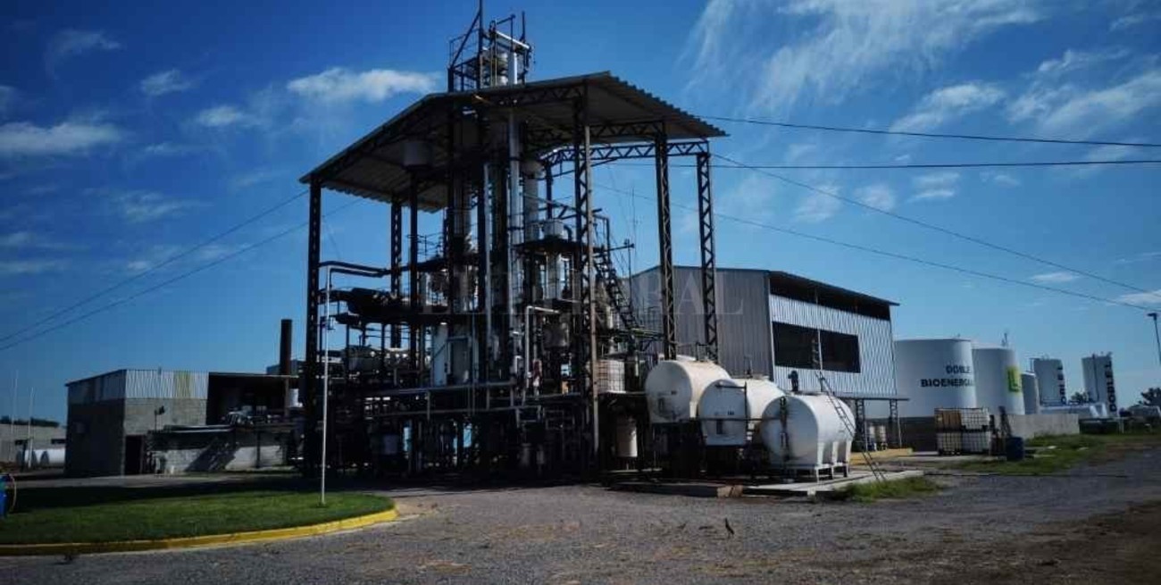 El biodiésel santafesino sigue esperando  