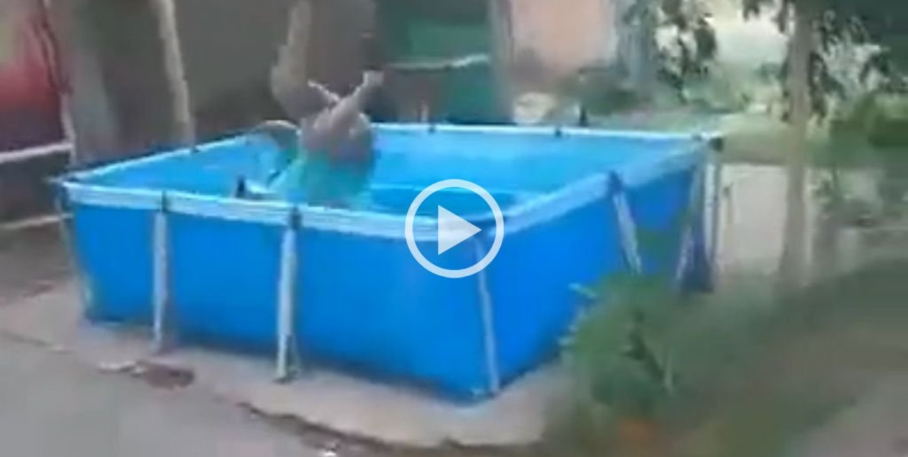 Video: un recolector de basura se tiró a una pileta en la vereda en plena jornada laboral en Rosario