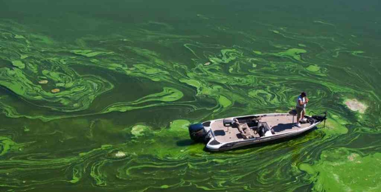Las extinciones masivas están convirtiendo el agua dulce en tóxica