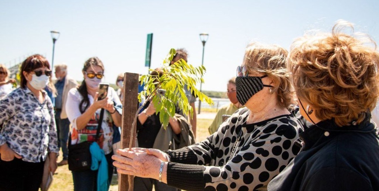 Nace un bosque de la poesía en Rosario: "La poesía brilla debajo del barro"