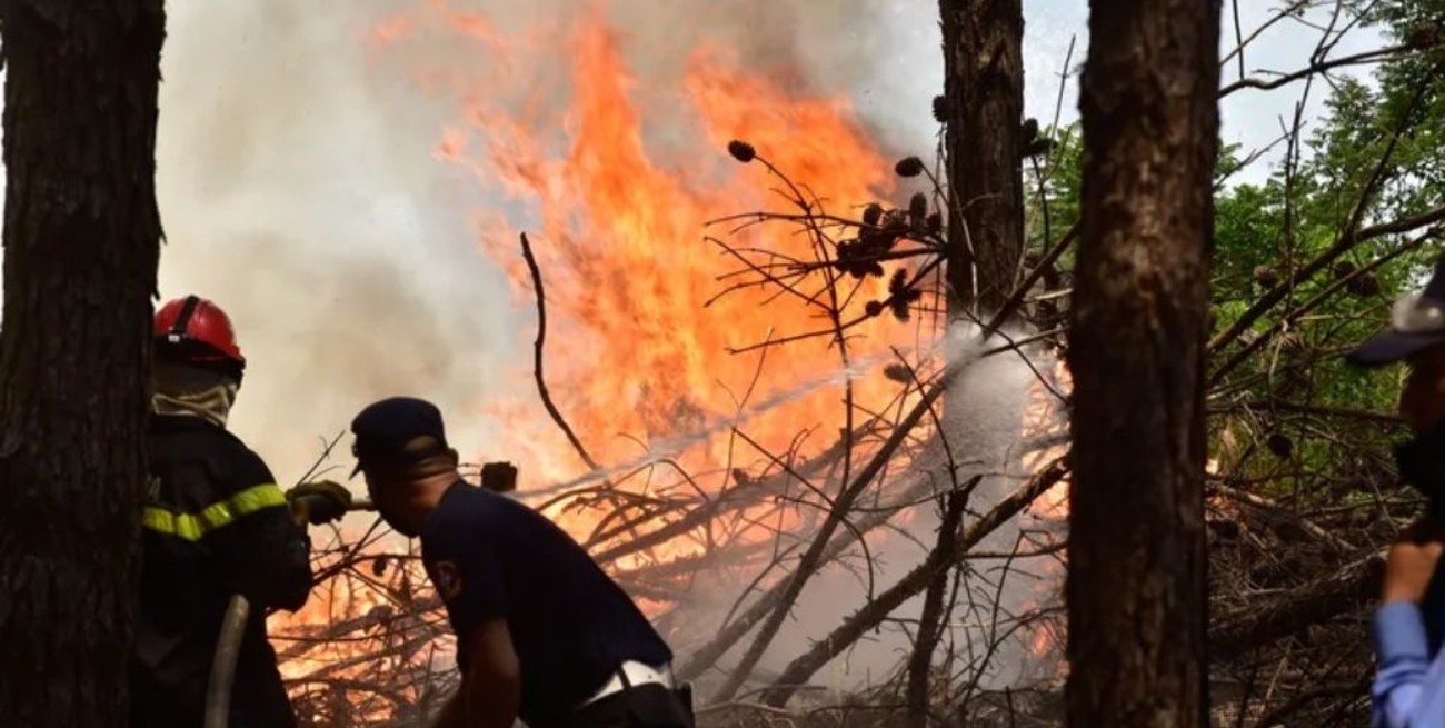 Algunos focos de incendio en Corrientes llegaron al ingreso de los Esteros del Iberá