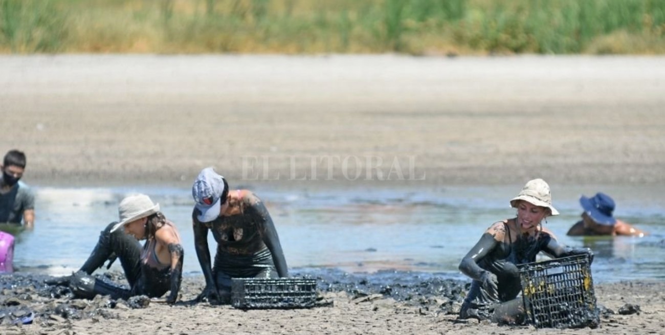 Exitoso rescate de tortugas en la laguna Juan de Garay