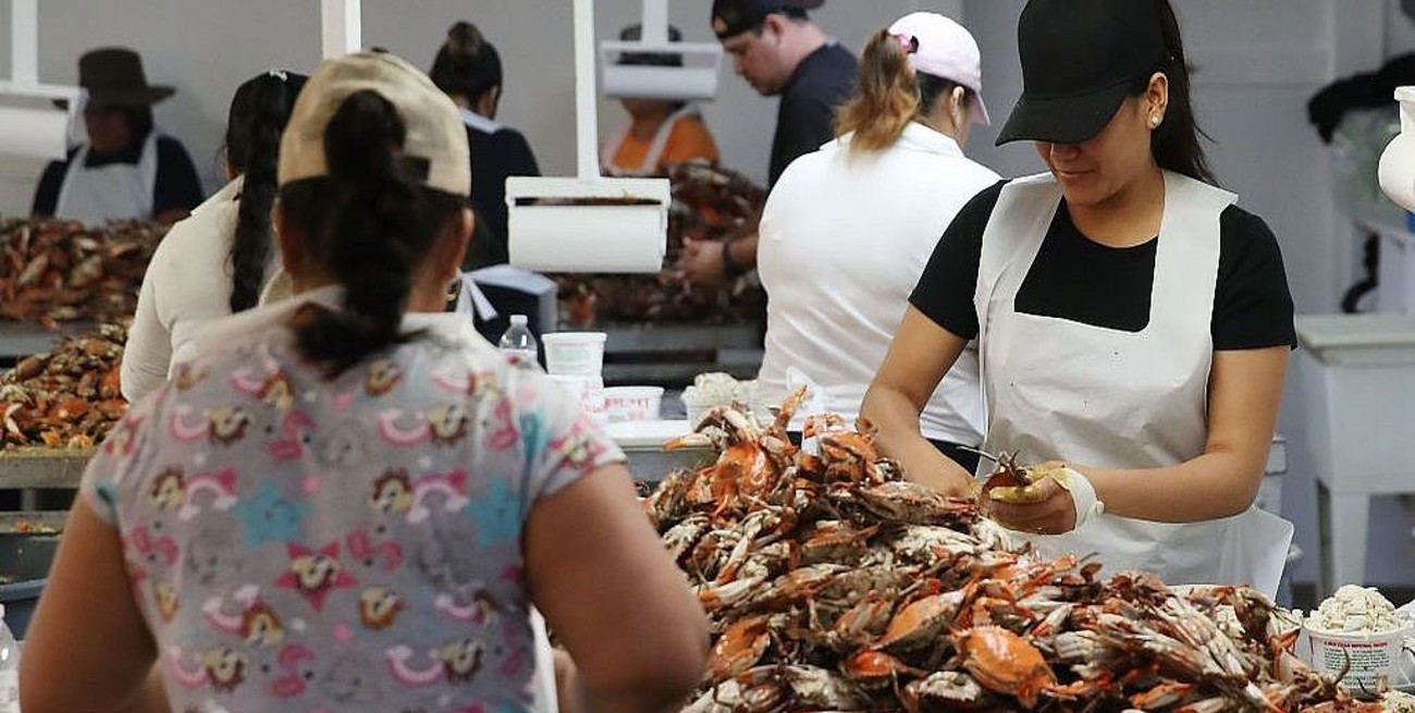 Estados Unidos otorgará 20.000 visas de trabajo "adicionales" para empleos temporales