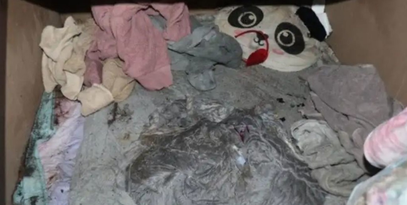 Una nena desaparecida hace tres años fue hallada viva en un cuarto secreto