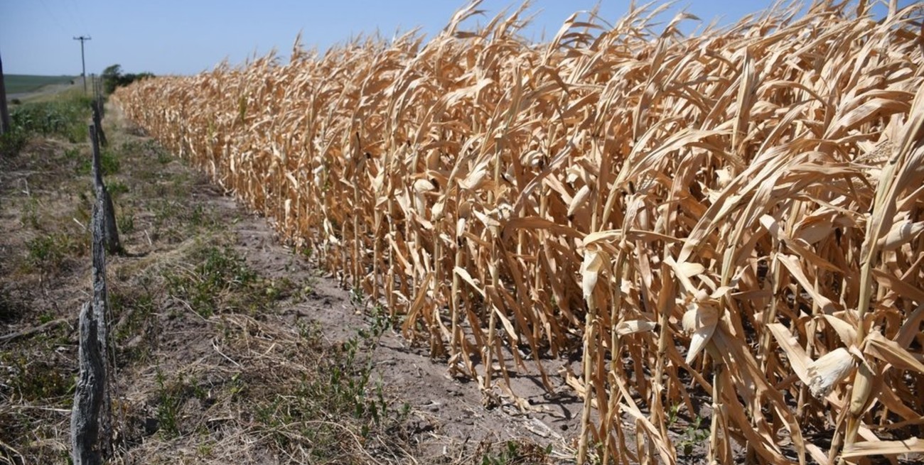 El SMN actualizó sus previsiones trimestrales de temperaturas y lluvias para toda la Argentina