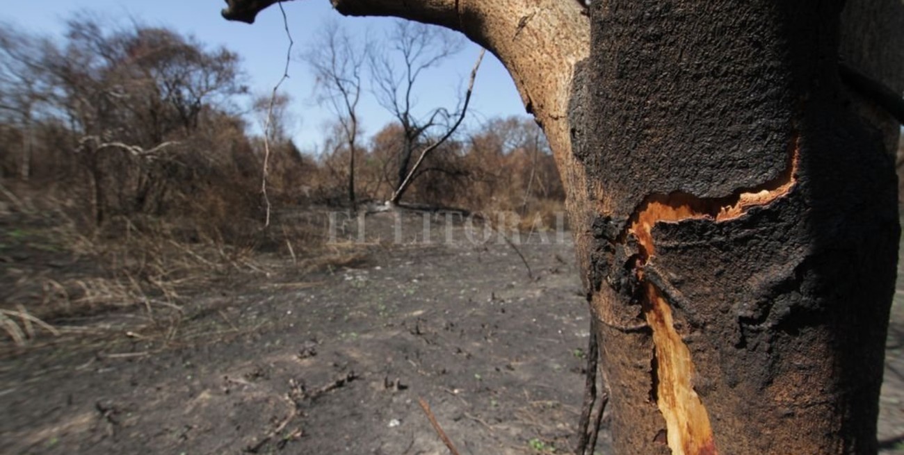 Línea directa: "felicitaciones", "educación ambiental" y otros mensajes