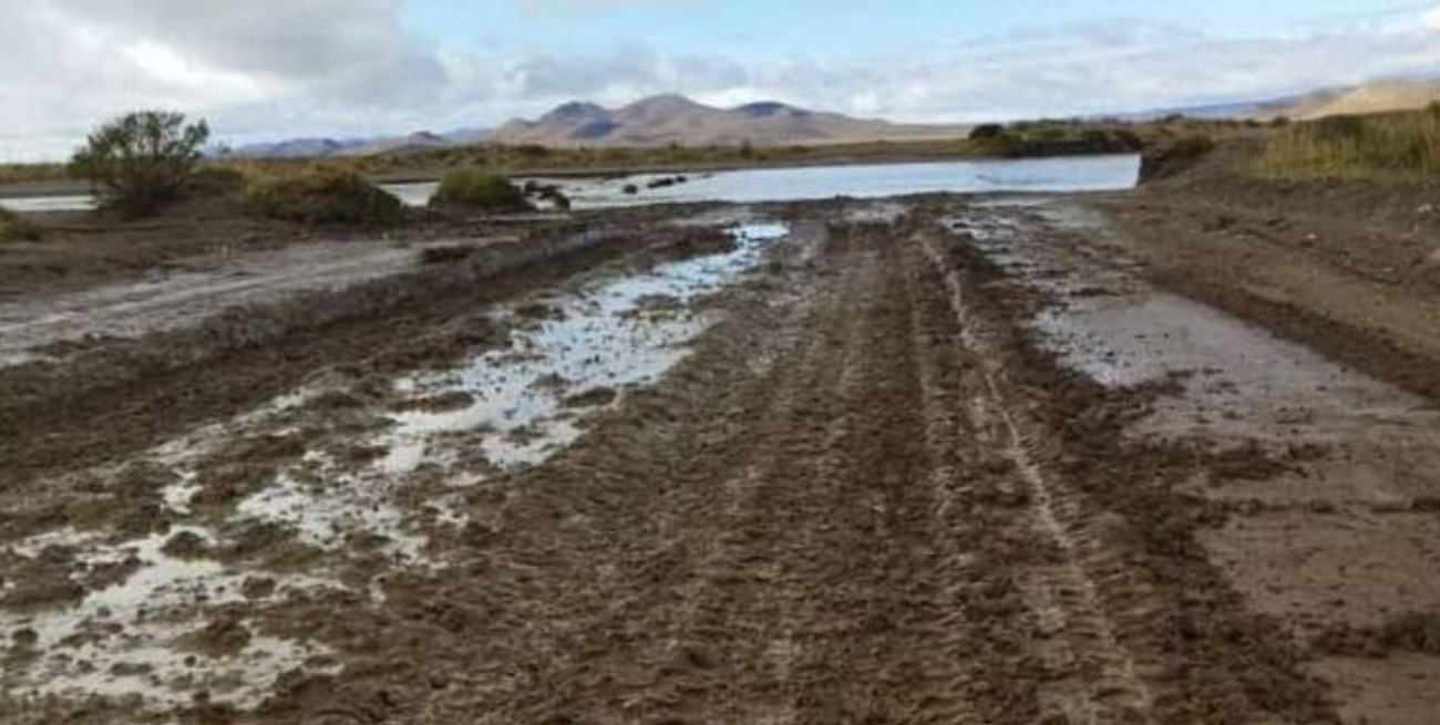 Temporal en Jujuy: se produjeron desplome de sedimento sobre la ruta 9 y caídas de árboles