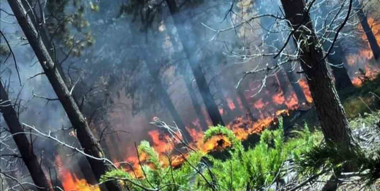 Declararon el estado de "emergencia ígnea" en todo el territorio argentino