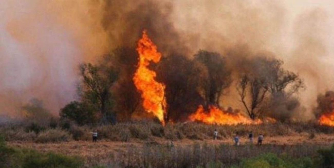 Dos focos de incendios forestales activos en Entre Ríos y Catamarca