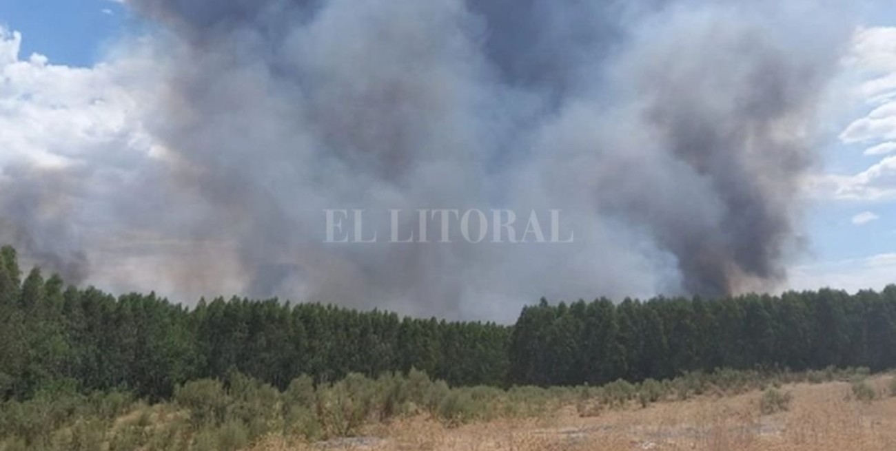 Las quemas e incendios también afectan a Uruguay