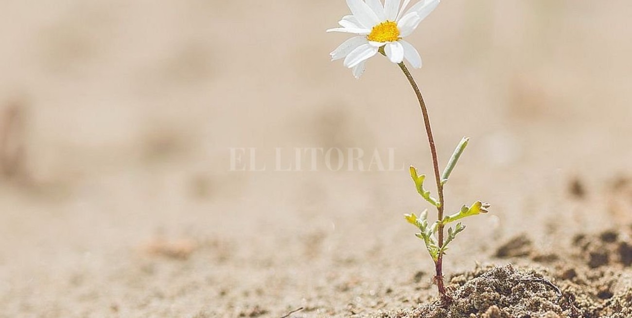 Donde hay una necesidad ¿nace un derecho?