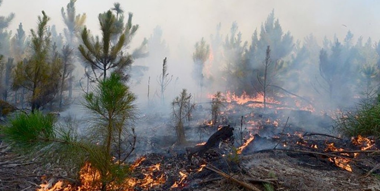 El merendero de Alto Verde realiza una colecta solidaria por los incendios en Corrientes